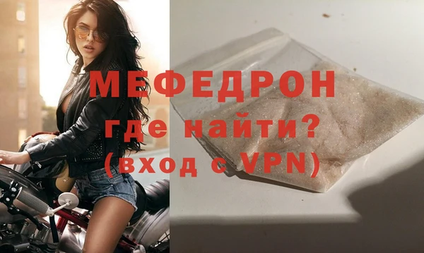 spice Богородск
