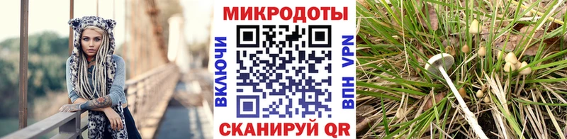 продажа наркотиков  hydra ССЫЛКА  Псилоцибиновые грибы Cubensis  Вихоревка 